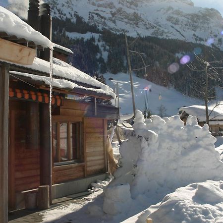 Bergdohle Διαμέρισμα Αντελμπόντεν Εξωτερικό φωτογραφία